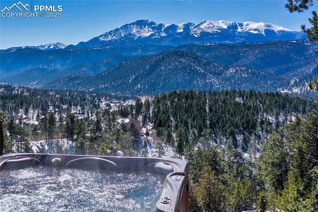 view of mountain feature with a view of trees