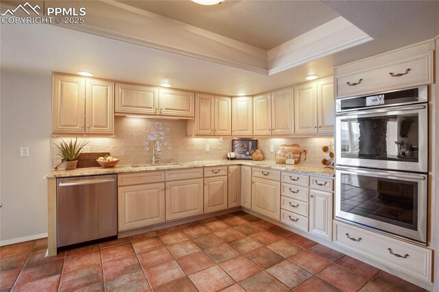 kitchen featuring stainless steel appliances, a tray ceiling, a sink, and decorative backsplash