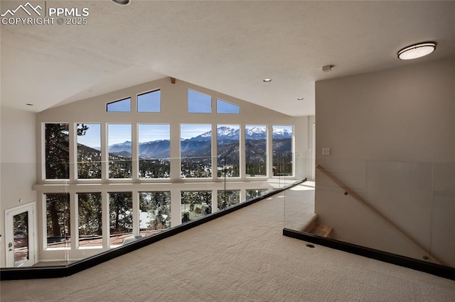 interior space with plenty of natural light, a mountain view, and carpet flooring