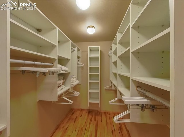 spacious closet featuring wood finished floors