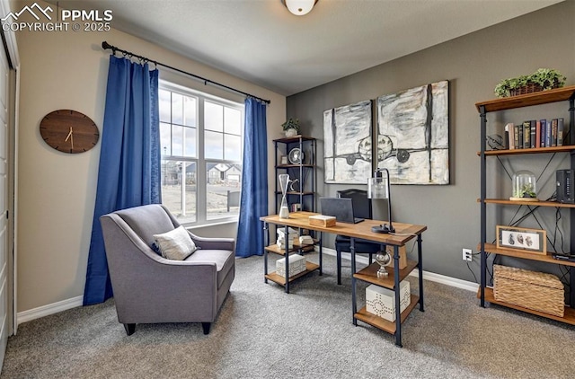 home office with carpet and baseboards