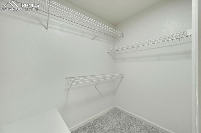 spacious closet with carpet