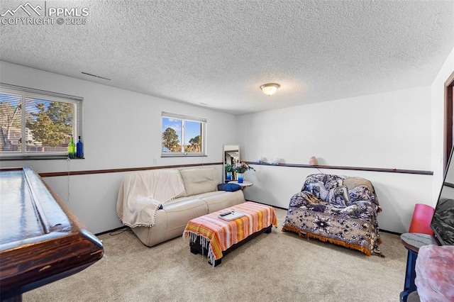 carpeted living area with a textured ceiling