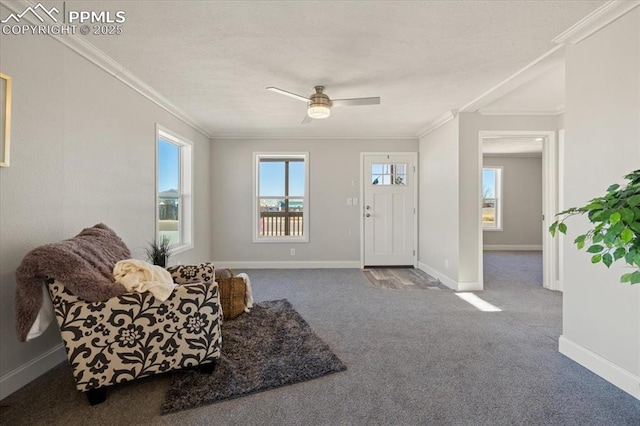 entryway with ornamental molding, carpet flooring, ceiling fan, and baseboards