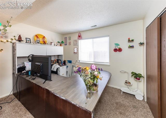 997 Magnolia St, Colorado Springs, CO 80907 - carpeted home office featuring visible vents, a textured ceiling, and baseboards