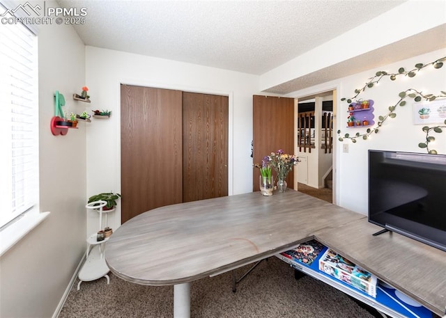 997 Magnolia St, Colorado Springs, CO 80907 - home office with carpet flooring, baseboards, a wealth of natural light, and a textured ceiling