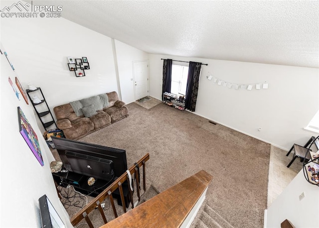 997 Magnolia St, Colorado Springs, CO 80907 - living area with visible vents, a textured ceiling, lofted ceiling, and carpet