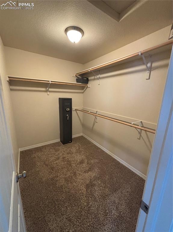 spacious closet with dark colored carpet