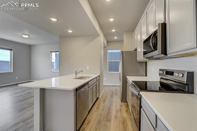 kitchen with stainless steel appliances, light wood-type flooring, a sink, and a healthy amount of sunlight