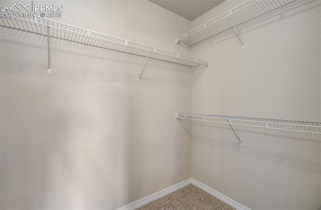 walk in closet featuring carpet