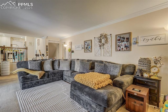 living area featuring ornamental molding and carpet