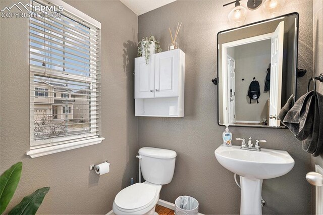1432 Red Mica Way, Monument, CO 80132 - bathroom with toilet and baseboards