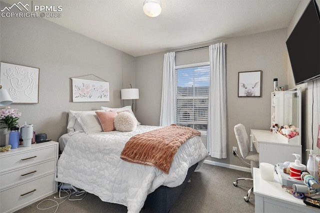 1432 Red Mica Way, Monument, CO 80132 - bedroom featuring dark carpet and baseboards