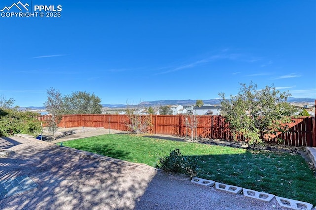 view of yard with a fenced backyard