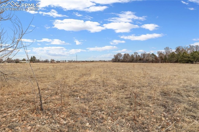 view of local wilderness featuring a rural view