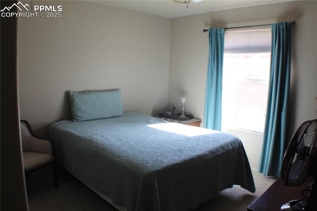 bedroom featuring multiple windows and carpet floors