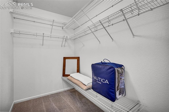 walk in closet with carpet