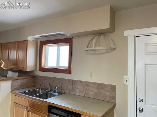 kitchen featuring dishwasher and a sink