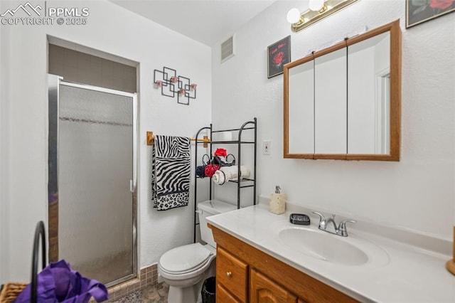 bathroom featuring a shower stall, vanity, and toilet