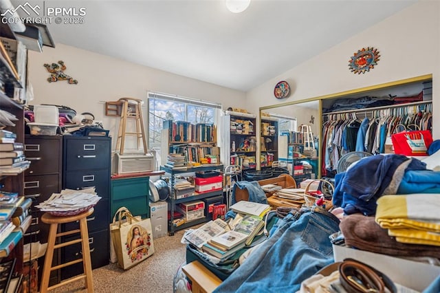 interior space with lofted ceiling and carpet