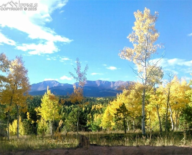 mountain view featuring a wooded view