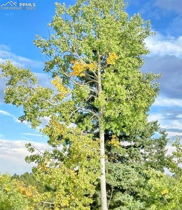 view of landscape