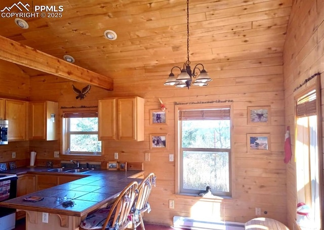 kitchen with range with electric cooktop, a sink, stainless steel microwave, tile countertops, and wood ceiling