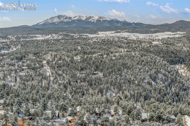 mountain view