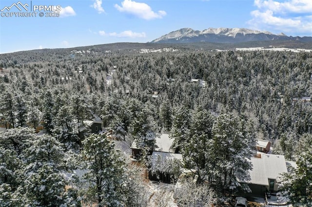 bird's eye view featuring a mountain view and a view of trees
