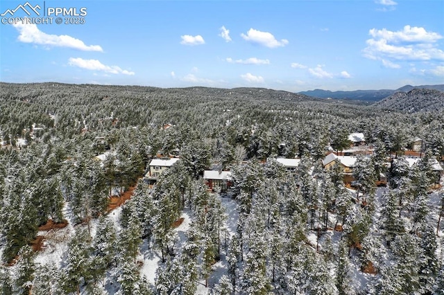birds eye view of property featuring a mountain view and a forest view