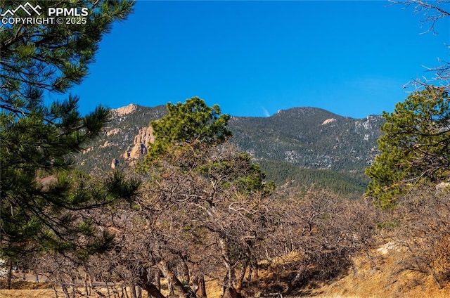3012 S Electra Dr, Colorado Springs, CO 80906 - view of mountain background