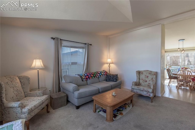 living room featuring carpet floors