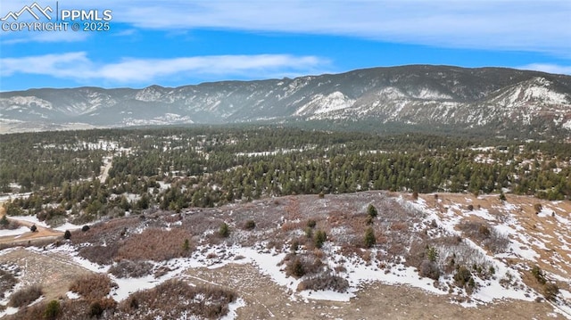 property view of mountains with a view of trees