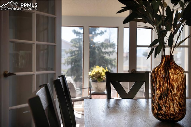 dining space with ceiling fan