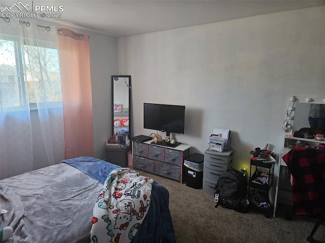 view of carpeted bedroom