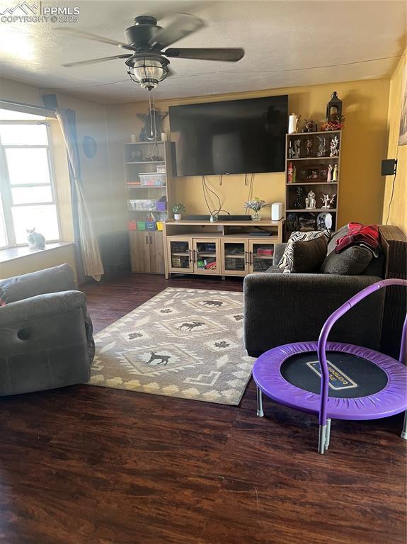 living area with a ceiling fan and wood finished floors