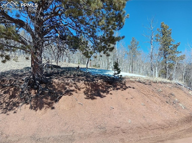 149 No Name Ln, Cripple Creek CO, 80813 land for sale