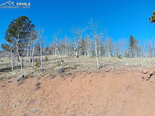 Listing photo 2 for 149 No Name Ln, Cripple Creek CO 80813