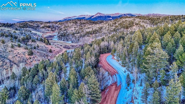 1034 Little Topsey Dr, Cripple Creek CO, 80813 land for sale