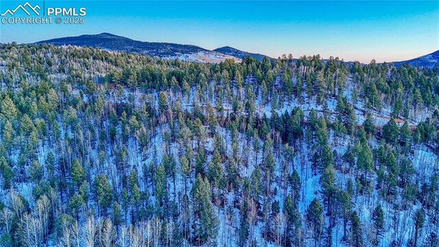 1034 Little Topsey Dr, Cripple Creek, CO 80813