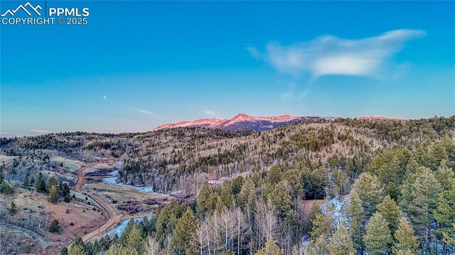 1034 Little Topsey Dr, Cripple Creek, CO 80813