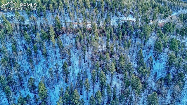 1034 Little Topsey Dr, Cripple Creek, CO 80813