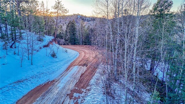 1034 Little Topsey Dr, Cripple Creek, CO 80813
