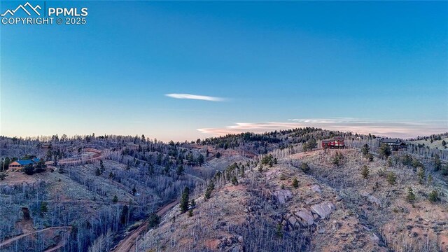 1034 Little Topsey Dr, Cripple Creek, CO 80813