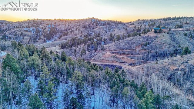 1034 Little Topsey Dr, Cripple Creek, CO 80813