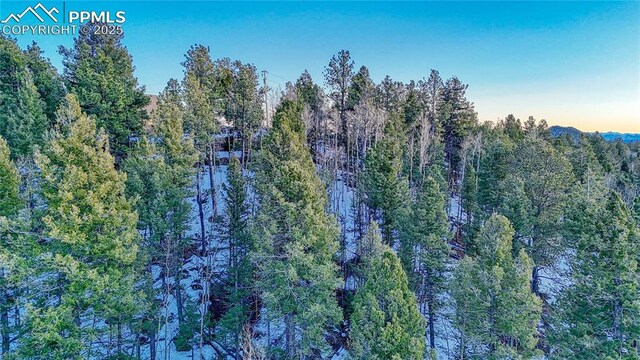 1034 Little Topsey Dr, Cripple Creek, CO 80813