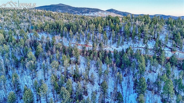 1034 Little Topsey Dr, Cripple Creek, CO 80813