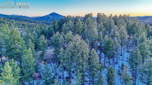 1034 Little Topsey Dr, Cripple Creek, CO 80813
