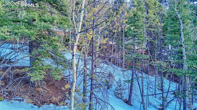 1034 Little Topsey Dr, Cripple Creek, CO 80813
