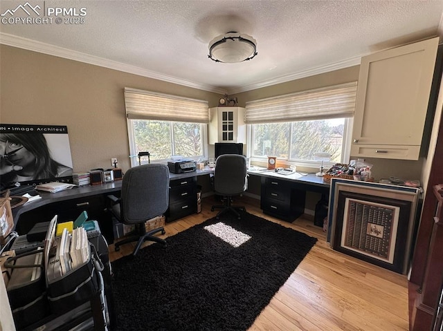 office space featuring light wood-style flooring, a textured ceiling, and crown molding